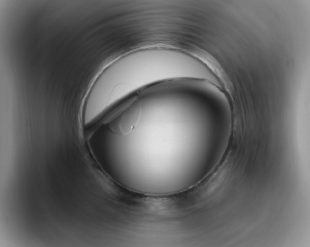 X0000091731242200709141219