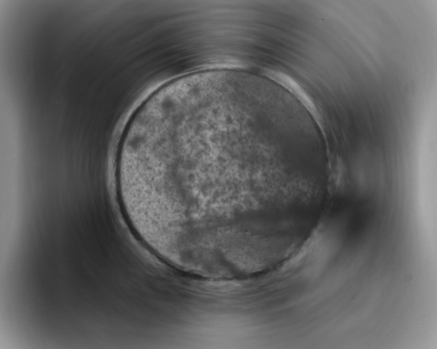 X0000091731243200709141219