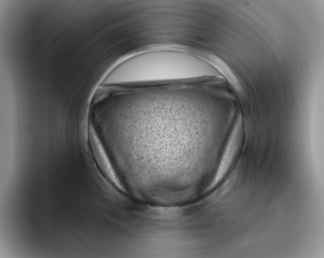 X0000091731244200709141219