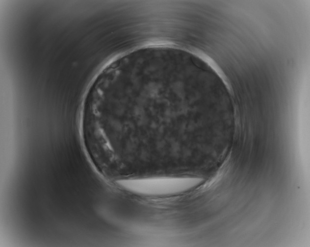 X0000091731245200709141219