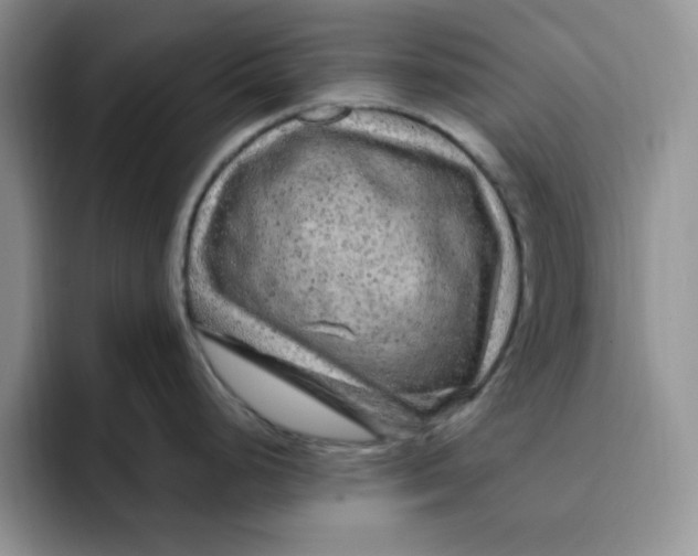 X0000091731248200709141219