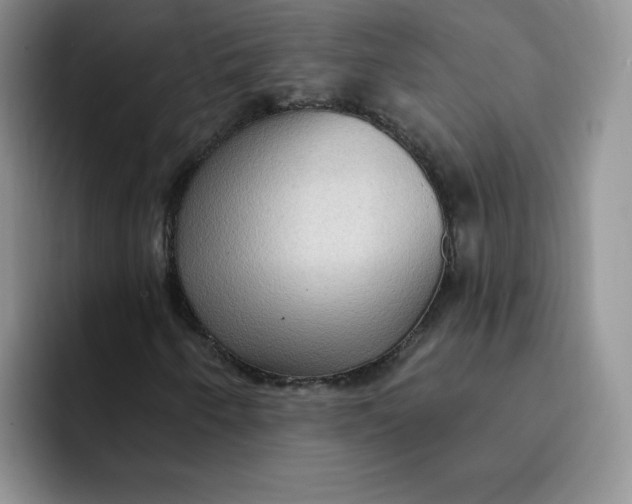 X0000091731250200709141218