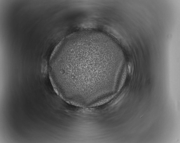 X0000091731251200709141218