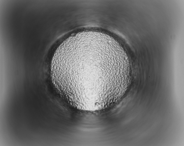 X0000091731255200709141218