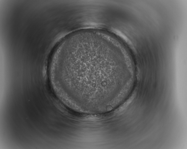 X0000091731259200709141218