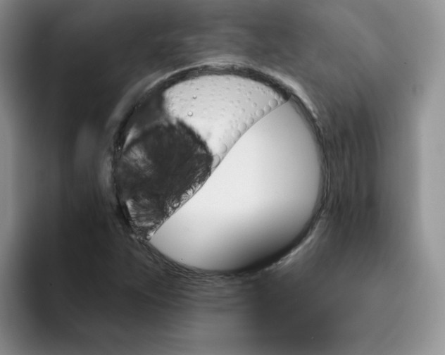 X0000091731263200709141218