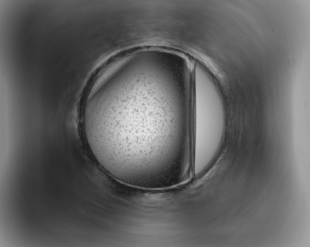 X0000091731264200709141218