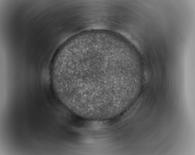 X0000091731266200709141218