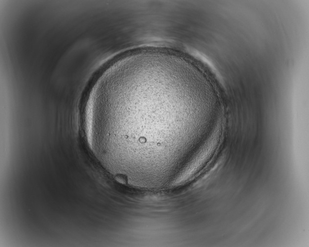 X0000091731267200709141218