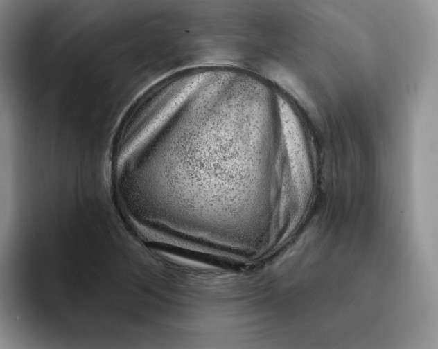 X0000091731268200709141218