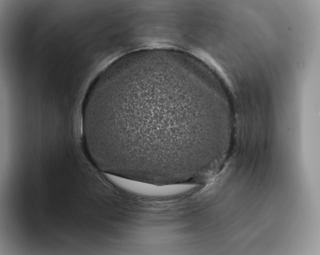 X0000091731269200709141218