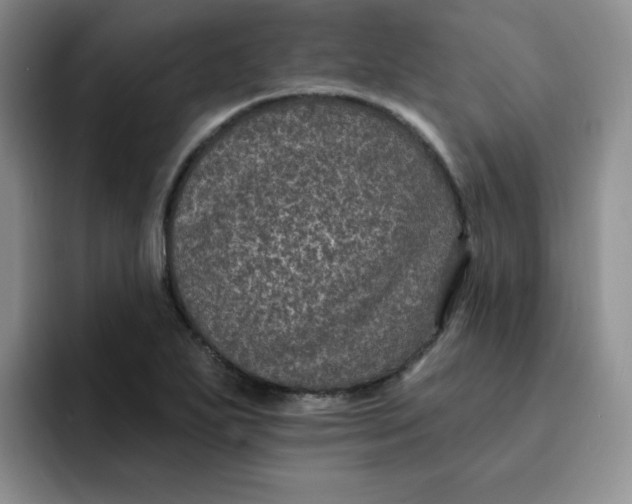 X0000091731271200709141218