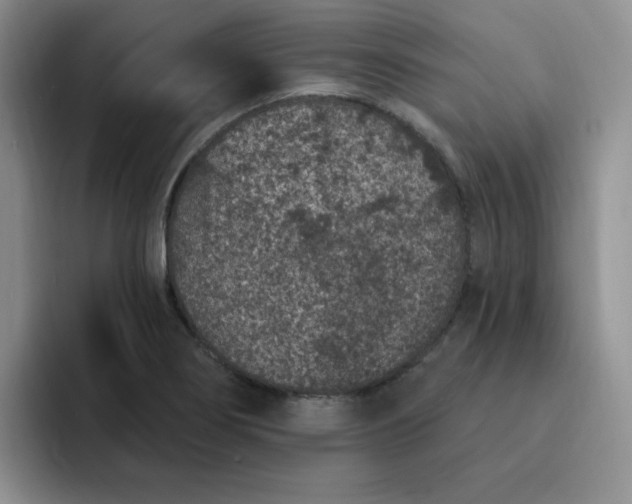 X0000091731274200709141218