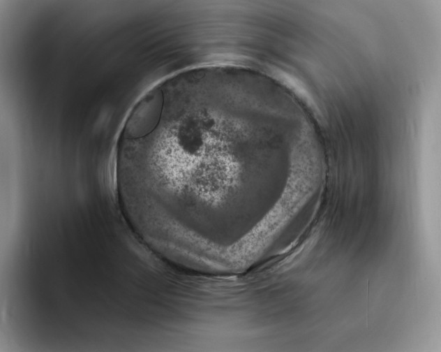 X0000091731275200709141218