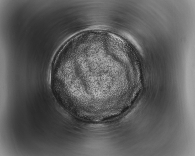 X0000091731276200709141218