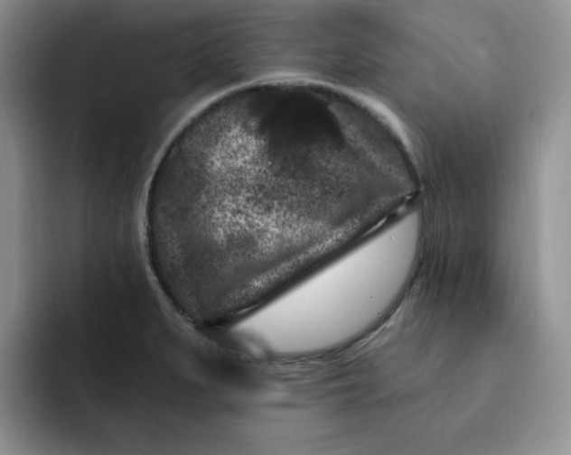 X0000091731279200709141218