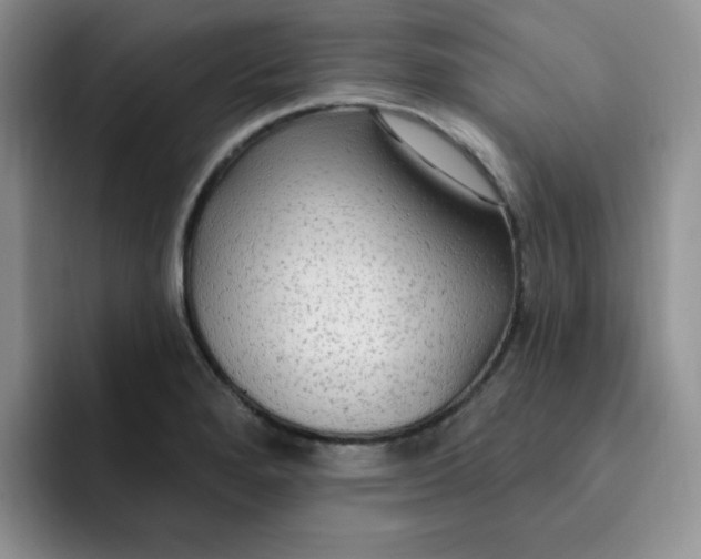 X0000091731280200709141218