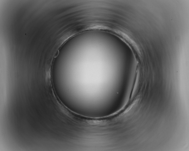 X0000091731281200709141218