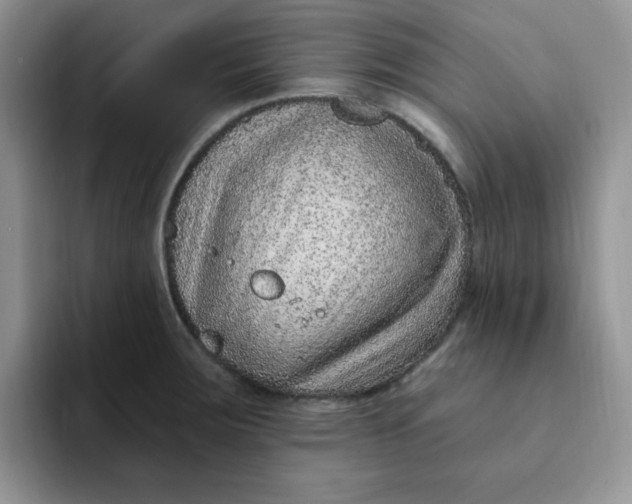 X0000091731283200709141218