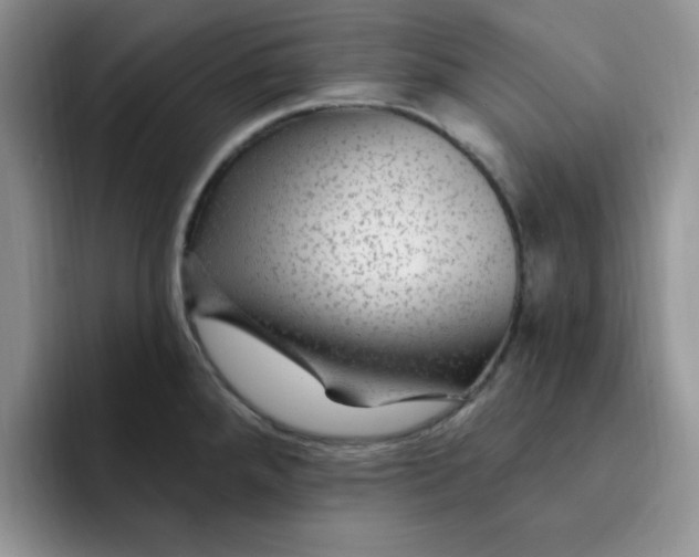 X0000091731288200709141218