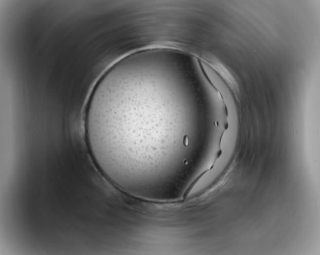 X0000091731292200709141218