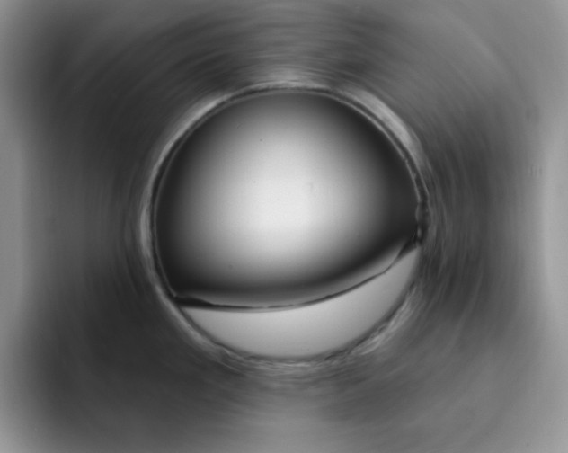 X0000091731293200709141218