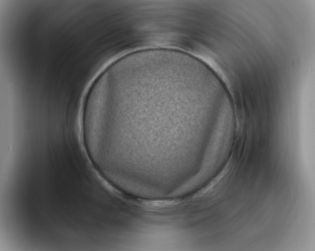 X0000091731294200709141218