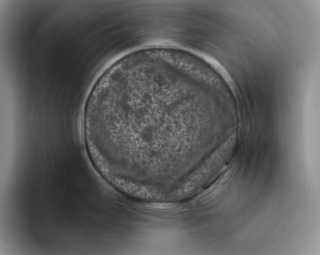 X0000091731295200709141218