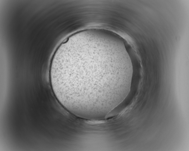 X0000091731296200709141218