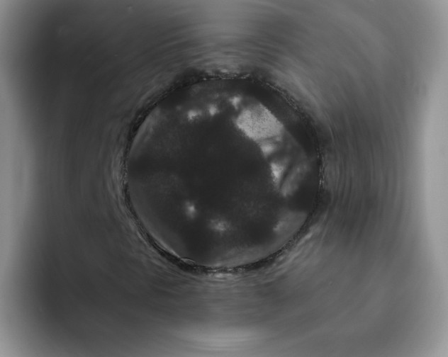 X0000091731297200709141217