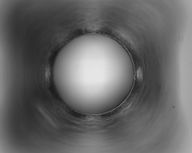 X0000091731299200709141217