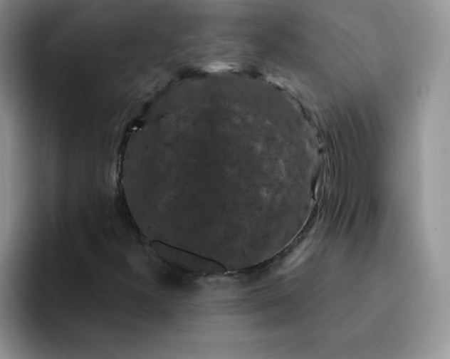 X0000091731300200709141217