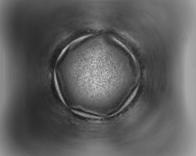 X0000091731302200709141217