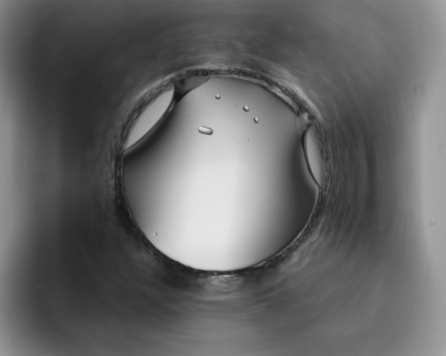 X0000091731304200709141217