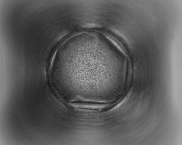 X0000091731305200709141217