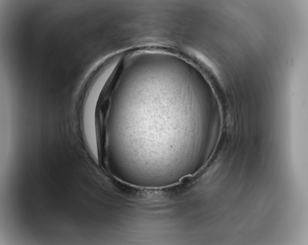 X0000091731310200709141217