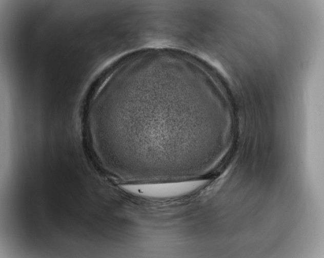 X0000091731311200709141217