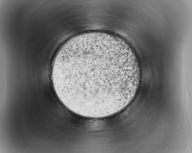 X0000091731314200709141217