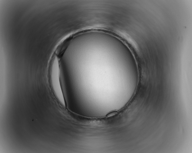 X0000091731316200709141217