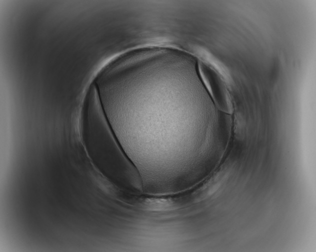 X0000091731320200709141217