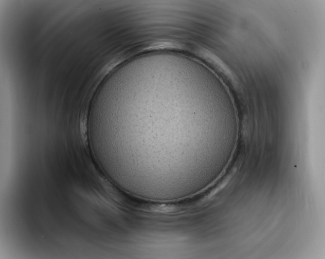 X0000091731321200709141217