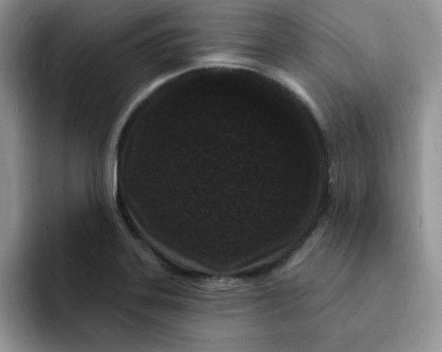 X0000091731323200709141218