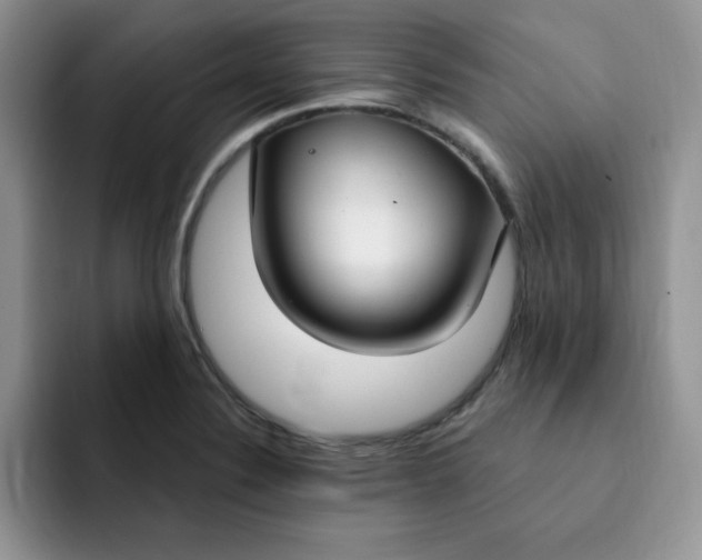 X0000091731324200709141218