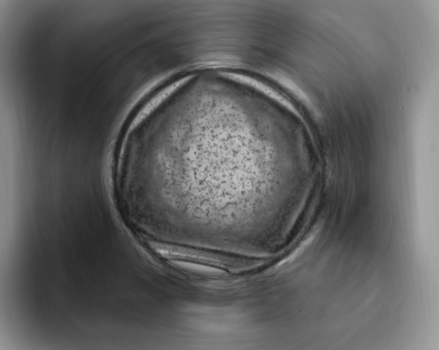 X0000091731325200709141218