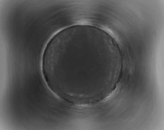 X0000091731331200709141218