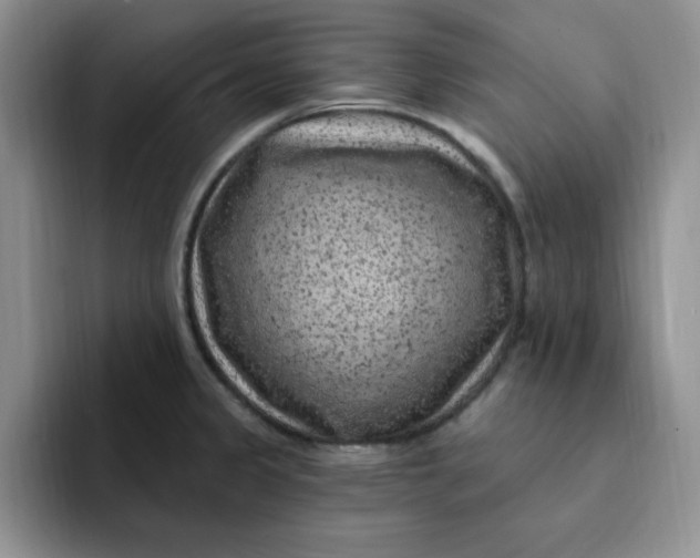 X0000091731333200709141218