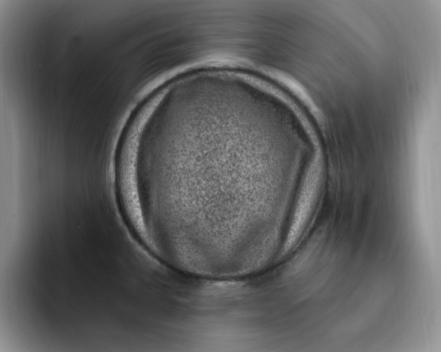 X0000091731335200709141218