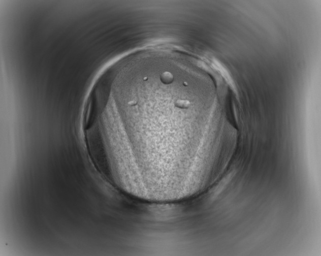 X0000091731336200709141218