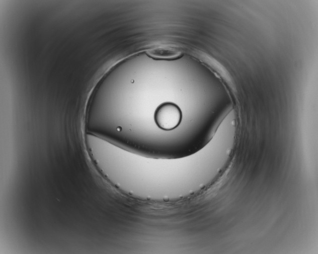 X0000091731338200709141218