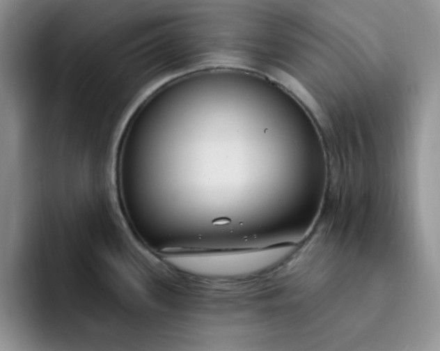 X0000091731339200709141218